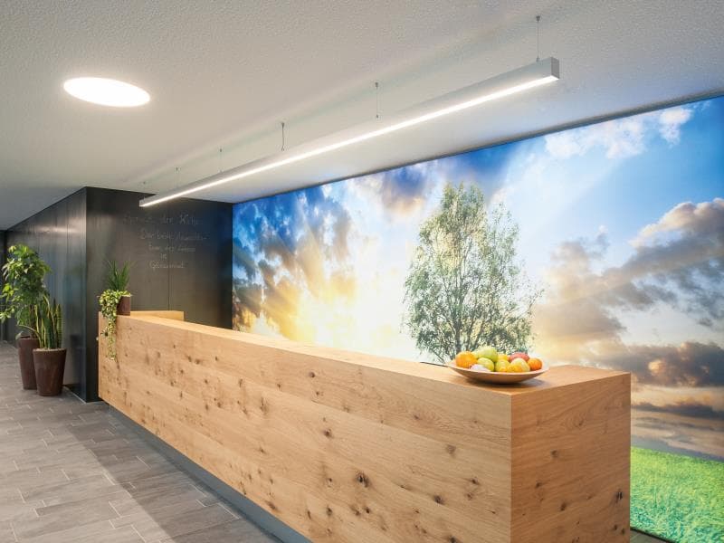 LOG 50 PDI HÄNGELEUCHTE